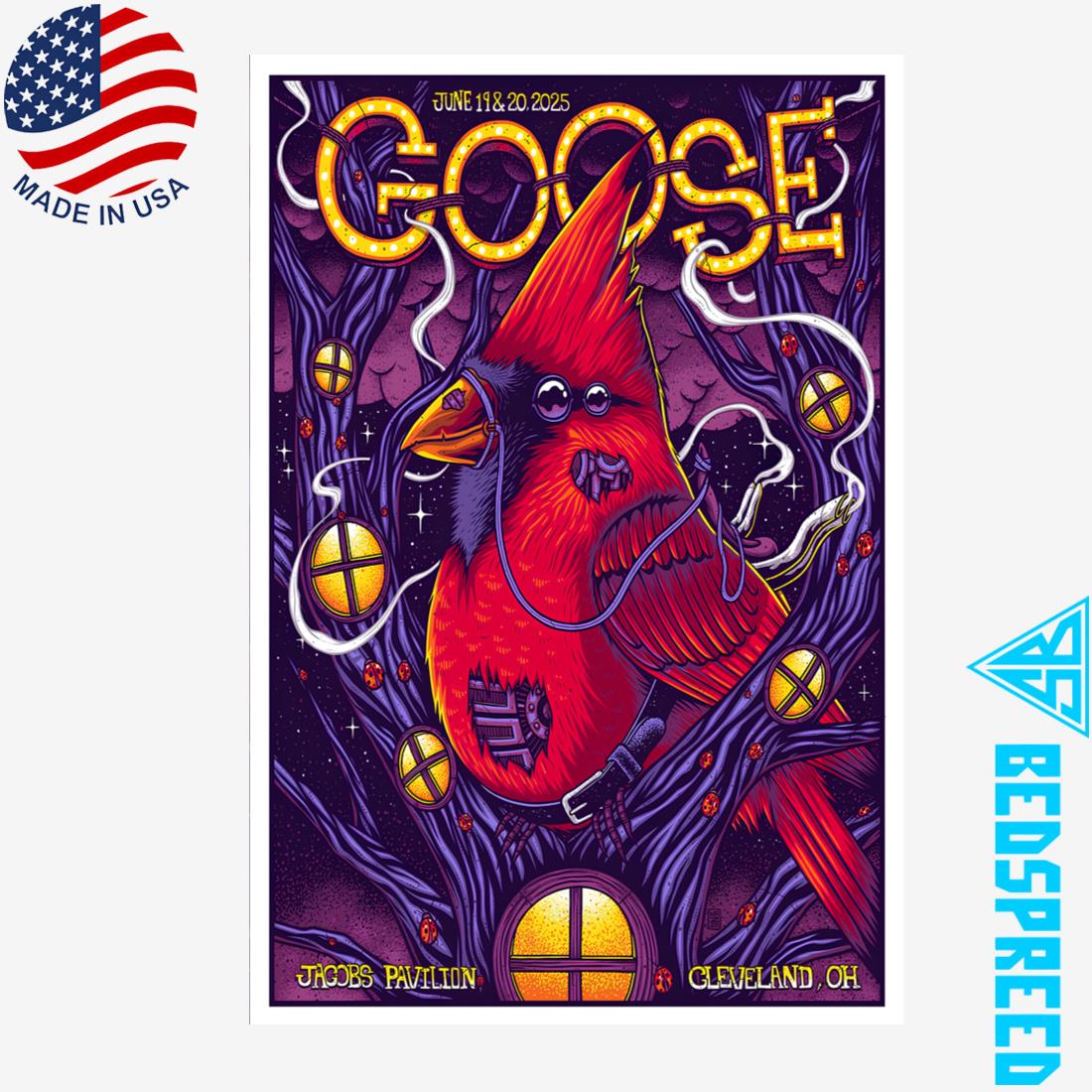 Goose Jacobs Pavilion Cleveland OH June 19-20 2025 Poster